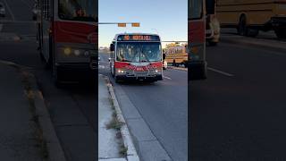 D40LFR 8075 On Route 40 To North Hill transit bus shorts [upl. by Grannias]