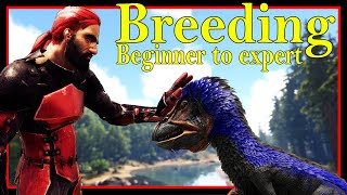 The Ultimate Breeding and Mutations Guide 2023  Ark survival Evolved [upl. by Sibie907]