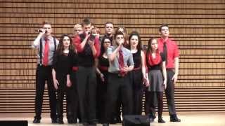 The Potsdam Pitches ICCA Quarterfinals 2015 [upl. by Duffy]