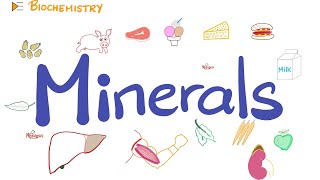 Your Body Needs Minerals Trace Elements  Diet and Nutrition [upl. by Ramirol]