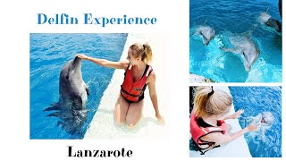 Delfin Experience in Rancho Texas Park  Lanzarote🐬 [upl. by Habas]