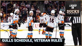 Gulls Schedule Released Explaining the Veterans Rule [upl. by Anitnerolf254]