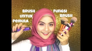 Brush Untuk Pemula  Makeup Brushes for Beginners  Semua Fungsi Brush Makeup [upl. by Duomham]