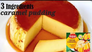 3 ingredients  Creme Caramel pudding  at home with caramel mix VASnatureAndCraft cooking [upl. by Cherry]