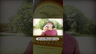 Yuengling Oktoberfest Beer Chug Review 2022 Revisited by A Beer Snobs Cheap Brew Review shorts [upl. by Aronaele]