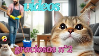 Los MEJORES VIDEOS de GATOS graciosos parte N°2  ¡NO PODRÁS DEJAR DE REIR 😁🙀😼 FUNNY KITTENS [upl. by Yur]