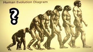 Die harten Fakten über die Evolutionstheorie [upl. by Osher118]