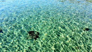 Musica Rilassante Mare  Liguria Colori Naturali e Pianoforte [upl. by Myrt18]