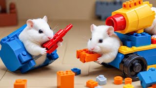 The Best Hamster Challenges 😱  Hamster Prison Maze Escape🛑Live Stream 25 [upl. by Maharg]