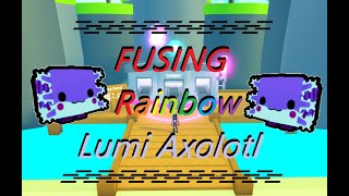 Fusing Rainbow Lumi Axolotl  in Pet Simulator X [upl. by Masao]