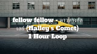 fellow fellow  ดาวหางฮัลเลย์ Halleys Comet  1 Hour Loop [upl. by Dagny]