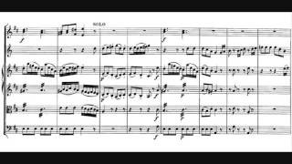 Wolfgang Amadeus Mozart  Horn Concerto No 1 K 412 [upl. by Atiuqal99]