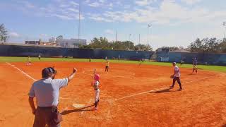 Pink Dragons PCLL Minor B vs Bananas Bayshore Little League Minor B 11 2 2024 [upl. by Nnawtna185]