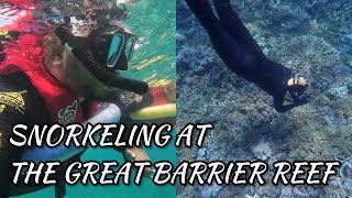 Vlog 72 Snorkeling at The Great Barrier Reef Fitzroy Island [upl. by Micah]