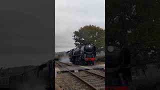 35006 leads a service train into Cheltenham Racecourse GlosWarks Railway 261024 [upl. by Shantee]