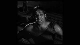 Marlon Brando A streetcar named desire  stella full scene High quality [upl. by Halland]