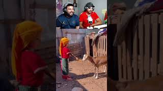 روينة والبلبالة 😂😂morocco maroc [upl. by Aniwde]