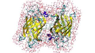 MD simulation of Proteinligand complex with deep learning potential ANI1x [upl. by Whorton]