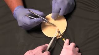 Ergonomics Carr Suturing Demonstration [upl. by Samtsirhc]