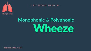 Wheeze  Mono vs Poly Phonic wheeze [upl. by Ettebab768]