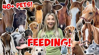 FEEDING ALL MY ANIMALS IN ONE VIDEO  40 ANIMALS NEW PETS ROUTINE [upl. by Prentice]