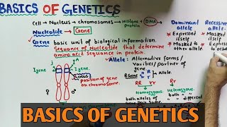 Basics of genetic  Gene  Locus  NMDCAT 2021 [upl. by Nenney]