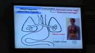 Dr Azza Nematodes 5 Anclystoma Duodenale YouTube [upl. by Reaht]