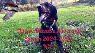 Chasse Bécasse Auvergne saison 2024 2025 n°2 [upl. by Ittak]