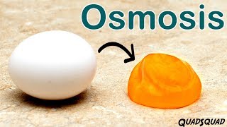 CLASS9  CELL PART2 CELL MEMBRANE DIFFUSTION OSMOSIS [upl. by Klarika]