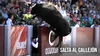 Guijuelo 2023 El Toro Salta al Callejón [upl. by Cadmarr]