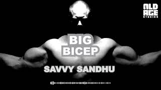 Big Bicep Official Audio  Savvy Sandhu  Jassi X  Kabal Saroopwali  New Punjabi song 2024 [upl. by Ymia]