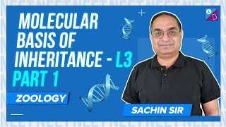 DNA Replication  Molecular Basis of Inheritance Class 12 Biology P1 Zoology  NEET 2023 Exam [upl. by Avivah]