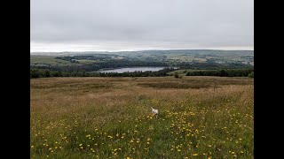 Turton Heights West Pennine Moors Lancashire  14th July 2024 [upl. by Ovida]