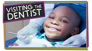 Visiting the Dentist  Health for Kids  SciShow Kids [upl. by Garrott]