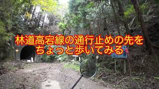 SEROW touring 歩いて林道高宕線 2023年10月21日 千葉県君津市 [upl. by Artimas]