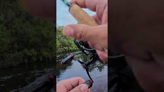 INSANE PEACOCK BASS fishing peacokbass bassfishing fyp fypシ゚viral [upl. by Rowe719]