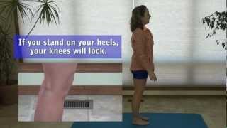 Standing Knee Exercise to Strengthen the Muscles Around the Patella amp Avoid Knee Pain [upl. by Buine431]