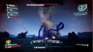 Borderlands 2  Terramorphous the Invincible Boss Fight [upl. by Barbaraanne]