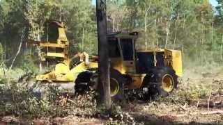 Wheel Feller Buncher Tigercat 724G [upl. by Ashla]