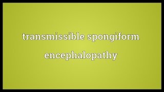 Transmissible spongiform encephalopathy Meaning [upl. by Llerdnam]