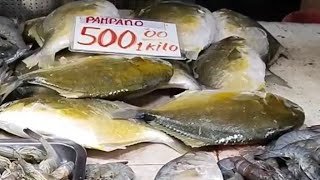 Lets Buy Pompano Fish [upl. by Peta762]