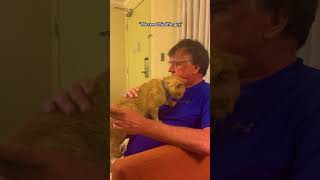 Scruffy Shelter Cat Starts His New Life  The Dodo [upl. by Yelsa972]