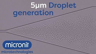 5µm droplet generator  Micronit [upl. by Raouf]