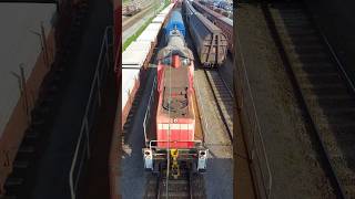 Br 296 von der DB Cargo seelze freighttrain oldtrain trainspotting [upl. by Morel]