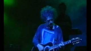 The Cure  From The Edge Of The Deep Green Sea Live 1995 [upl. by Gus]