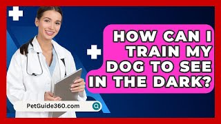 How Can I Train My Dog to See in the Dark  PetGuide360com [upl. by Erfert]