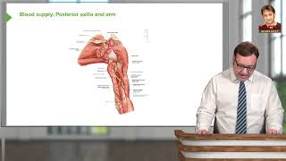 MRCEM Primary Anatomy Upper Limb Overview of Arterial Supply to Upper Limb [upl. by Ahsenaj]