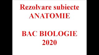 Rezolvare subiecte ANATOMIE BAC 2020 [upl. by Marrin605]