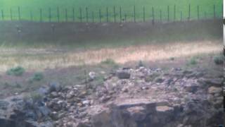 Long Range Shooting  Rock Chuck at 670 yards [upl. by Lesig130]