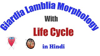 Giardia Lamblia Morphology Life Cycle Explain in Hindi Gnm BSC [upl. by Ralaigh]